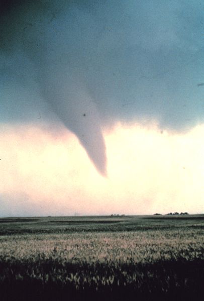 Tornado_at_beginning_of_life_-_NOAA