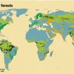 Destruction Of Tropical Forests Making Massive Contribution To Atmospheric CO2 Increase