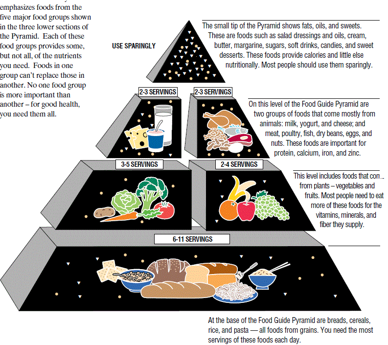 USDA food guide pyramid