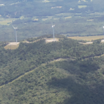Germans Resoundingly Saying "No!" To Clearing Forests To Make Way For Wind Parks
