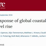 New Study: Sea Level Rise Doesn't 'Spell Doom' - Little To No Loss Of Coastal Wetlands Projected By 2100