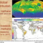 New Research: Methane Emissions From Livestock Have No Detectable Effect On The Climate