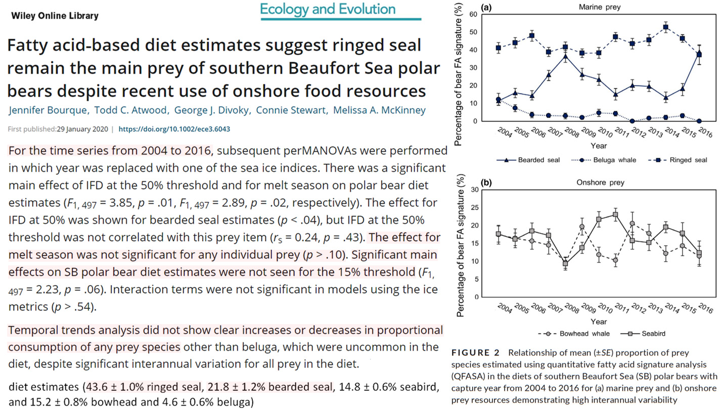 No-changes-in-polar-bear-seal-consumption-2004-2016-Bourque-2020.jpg
