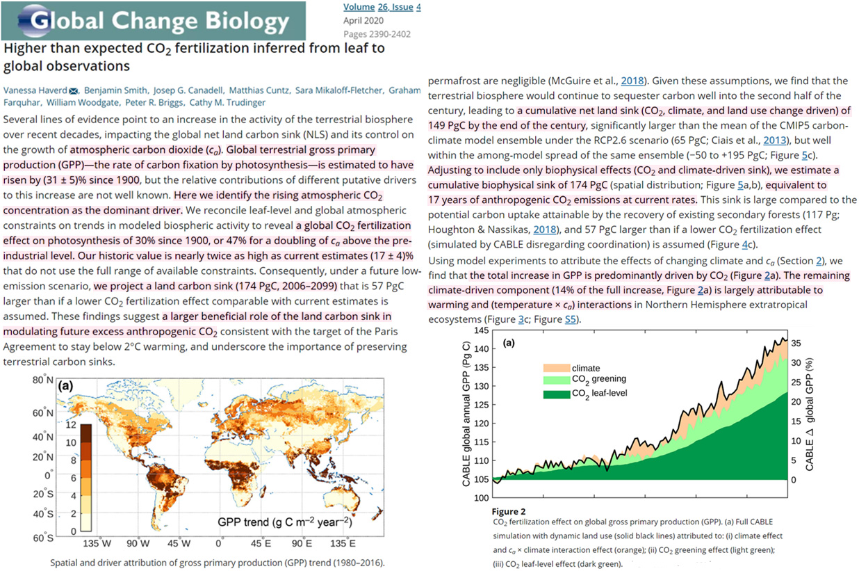 Greening-driven-by-rising-CO2-and-warming-carbon-sink-to-grow-by-2100-Haverd-2020.jpg