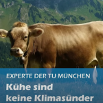 Munich Professor: Role Of Methane From Cows On Climate Exaggerated By A Factor Of 3 To 4!
