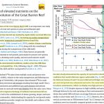 Early Holocene Reef Growth 'Substantial And Active' Despite Faster-Than-Today Environmental Changes